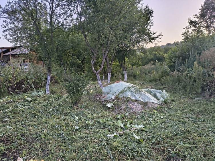 Teren intravilan la ASFALT, intre CASE, in comuna Ocnita - 6