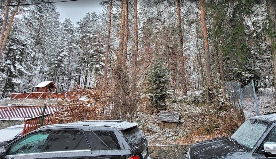 Teren Sinaia/Cumpatu - 3