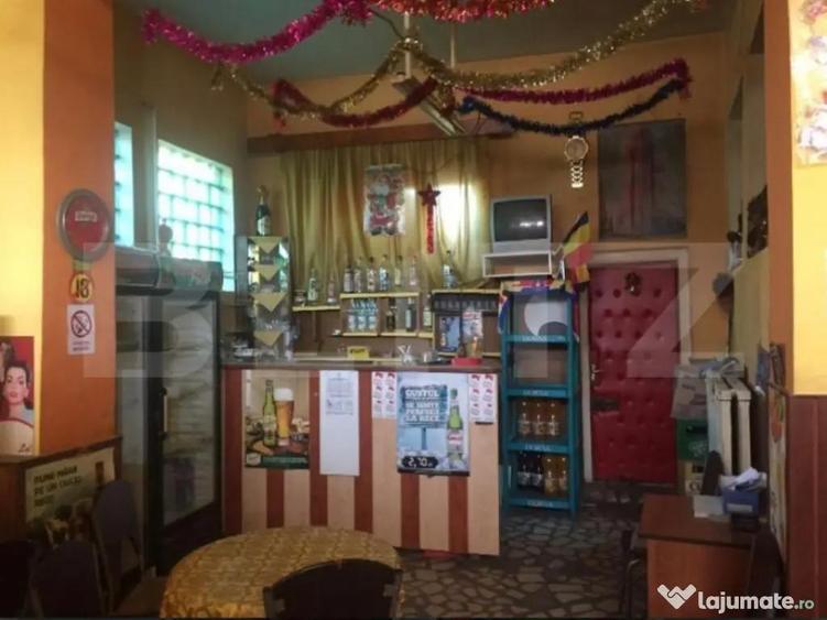 Oportunitate de investitie! Casa cu chiriasi, individuala 17 - 9