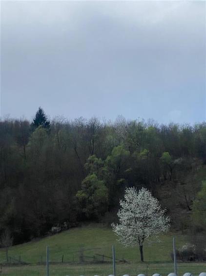 VILA  10 camere P + 1 si TEREN in ZONA HALOS - LOCUINTA BUSSINES IN MANASTIREA C - 2