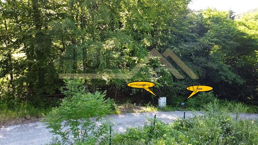 Oportunitate Investitie Teren Dambu Morii | Necesar PUD | Utilitati | 4.800mp - 6