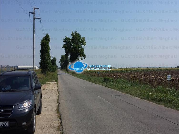 Vanzare Teren Intravilan  Herasti Giurgiu 2 HA - 3