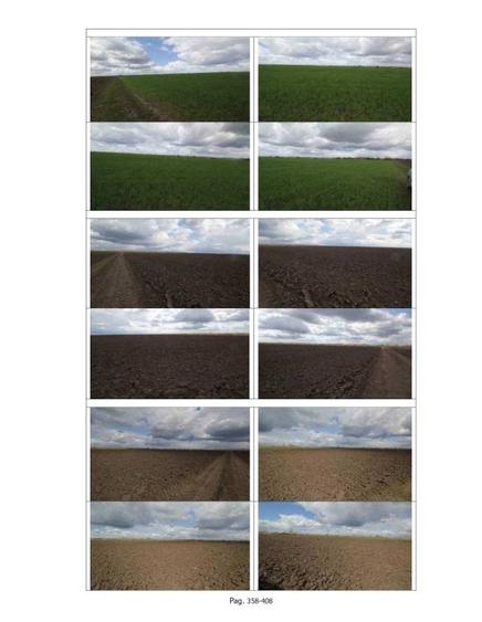 Terenuri extravilane pasune si faneata in Com. Cheveresu Mare, jud. Timis - 1