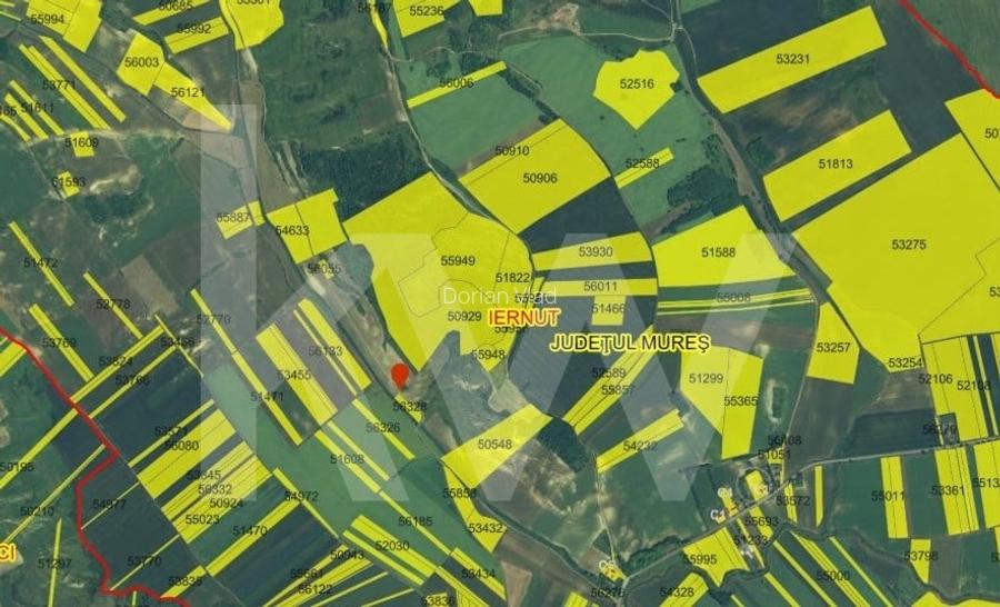 Oportunitate unica de investitie - Padure, catina si visuri verzi