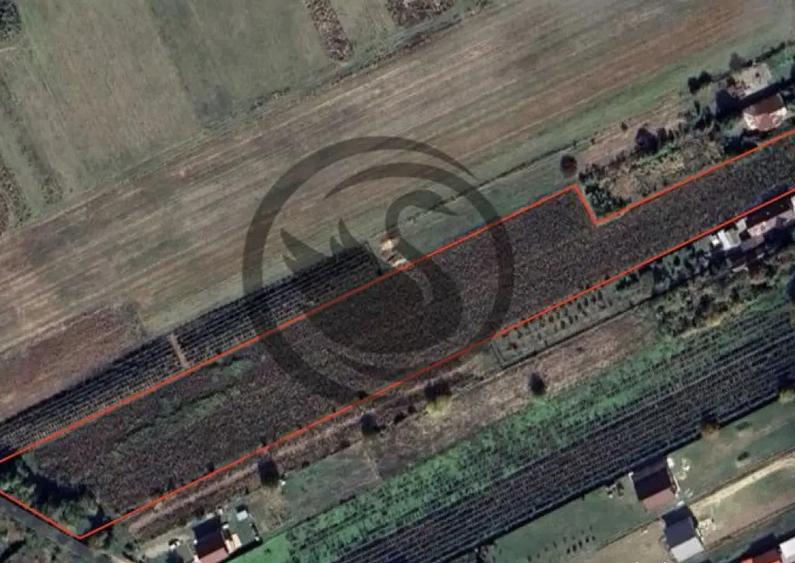 Teren intravilan de vanzare | 12.650 mp | Ghirdoveni, | C... - 11