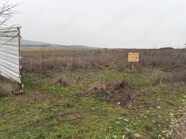 Vand teren intravilan 500mp Simnicu de Sus, sat Floresti - 6