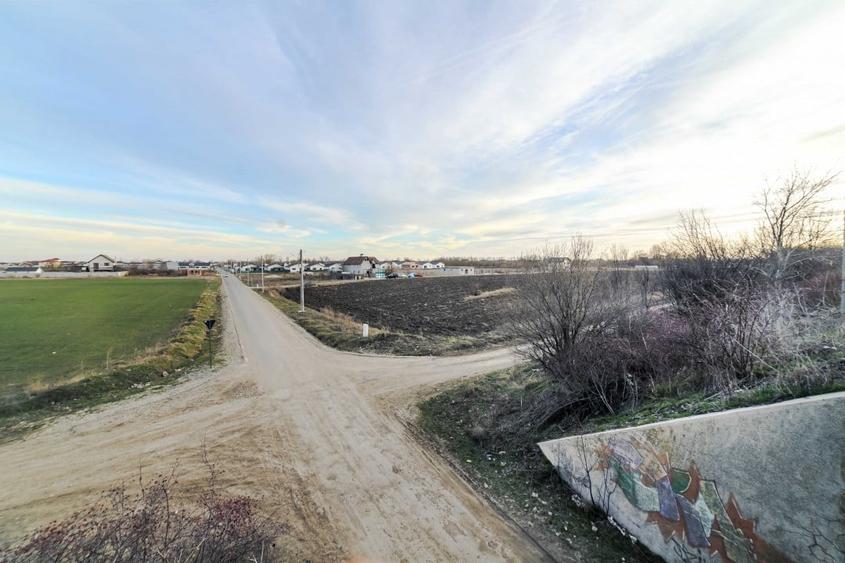 Domnesti, Salciei, Haltei, Ciocarliei, teren 6000 mp, drum asfaltat cu utilitati - 5