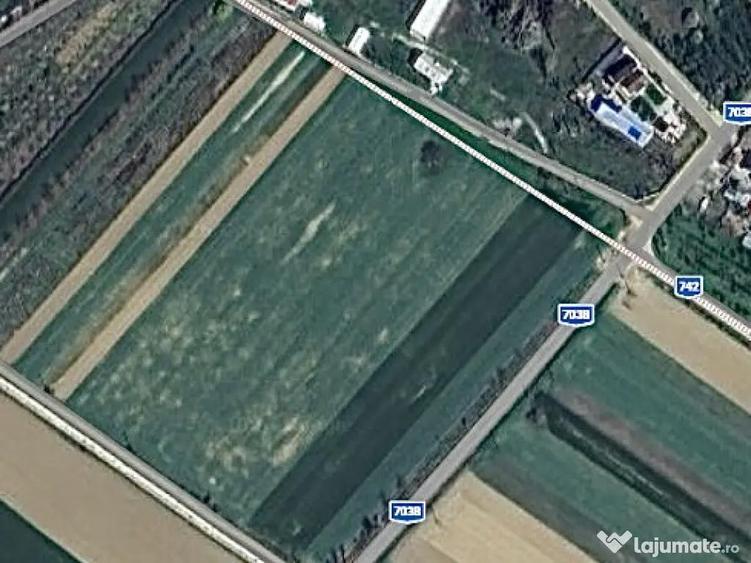 Vand Teren INTRAVILAN 4000mp - Leordeni, Arges - 2