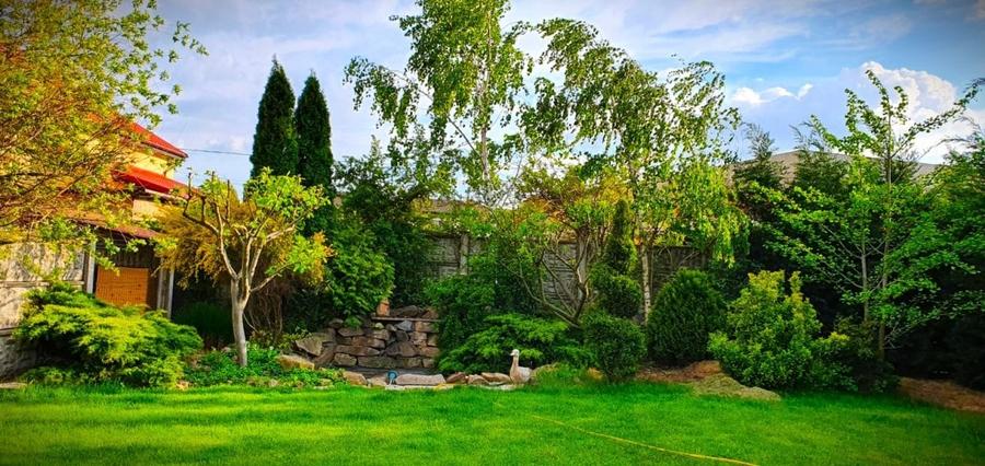 Vila Individuala La Cheie -  DIRECT PROPRIETAR  792 mp - 7