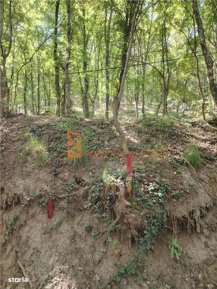 Teren intravilan zona Monteoru - 2