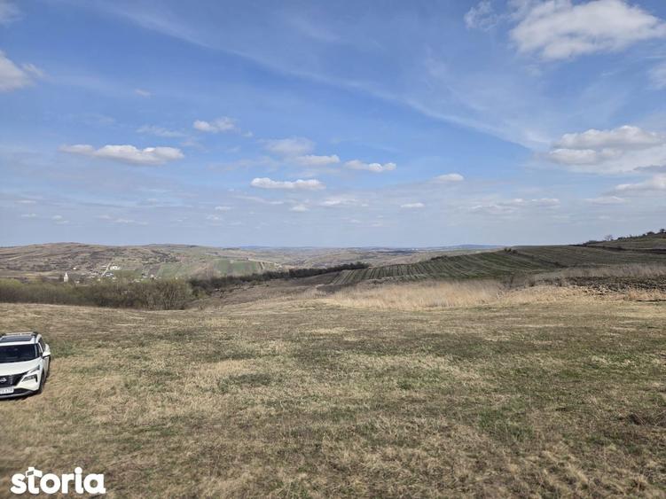 Teren de vanzare Pata Cluj - 1