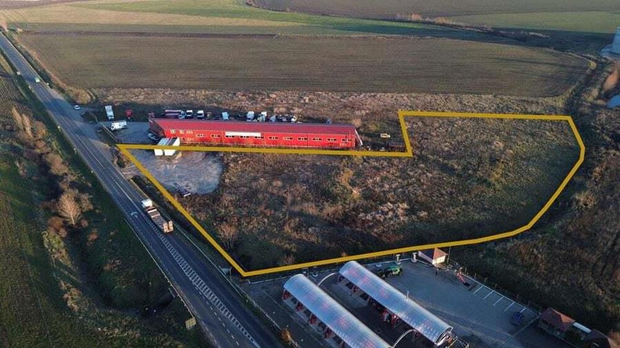 Teren de vanzare in Horia Arad, 10.100 mp - Comision 0% - 6