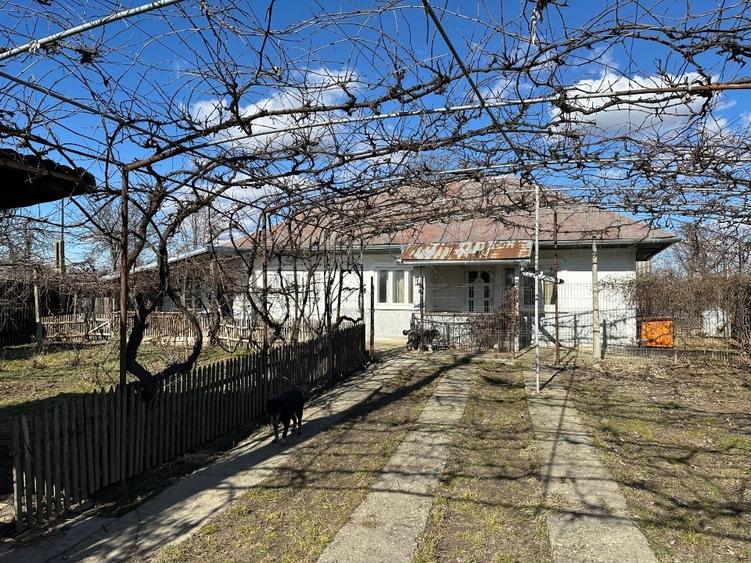 Casa batrineasca cu approx 2800 mp teren, vie, pomi fructiferi, zmeura, coacăze - 1