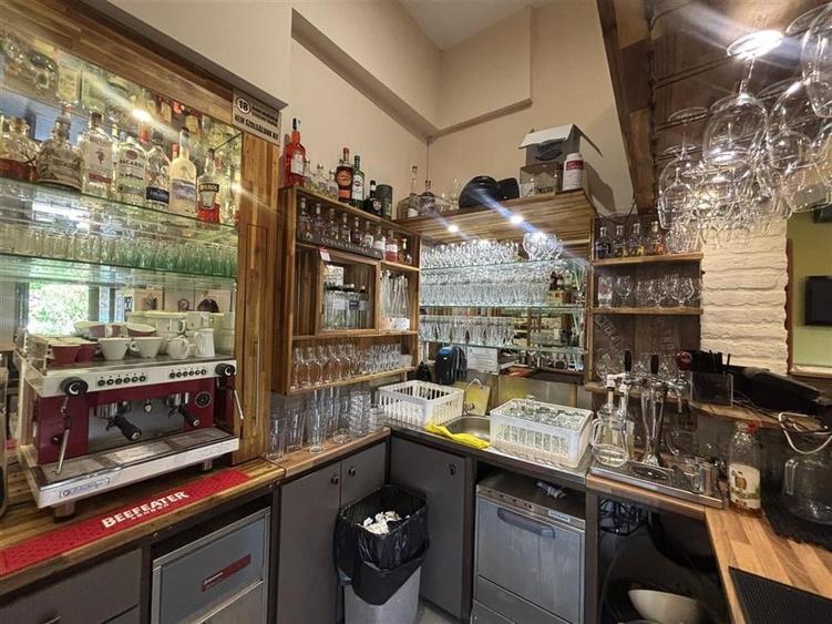 RESTAURANT GYULA | UNGARIA | PANOURI SOLARE | 245 MP |  TERASA PE LAC - 7