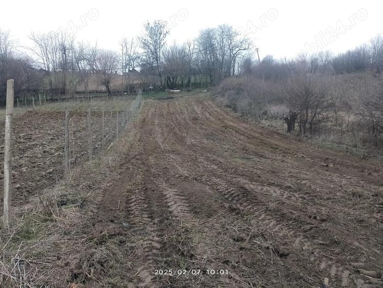 Teren intravilan de vanzare - 3