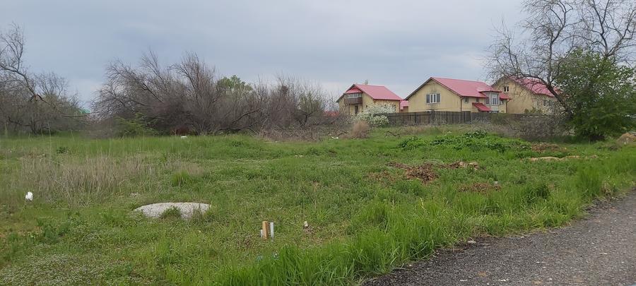 Murfatlar- teren 400mp/13m langa padure - 1