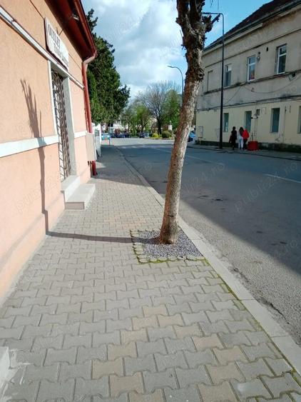 Spatiu pentru birou - 4