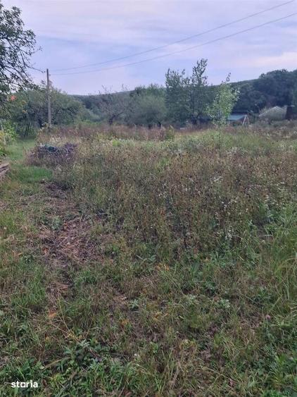 Teren Gheoghe Doja - 3