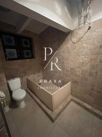 Apartament de vanzare 3 camere 115 mp cu potential comercial, pe strada Horea! - 9