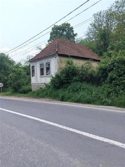 Domeniu verde autentic,  +5.000mp, front la DJ, Valcele, Brasov -- Covasna - 13