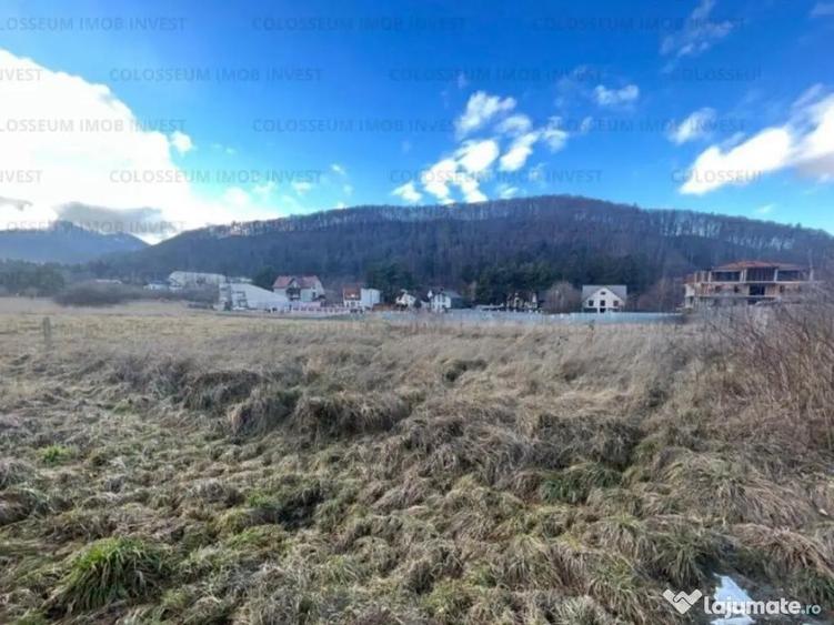 Teren intravilan, cu certificat de urbanism - Bunloc/Sacele - 4