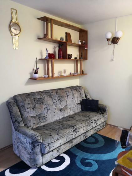 Apartament 2 camere Calea Sagului, 260 euro, negociabil - 3
