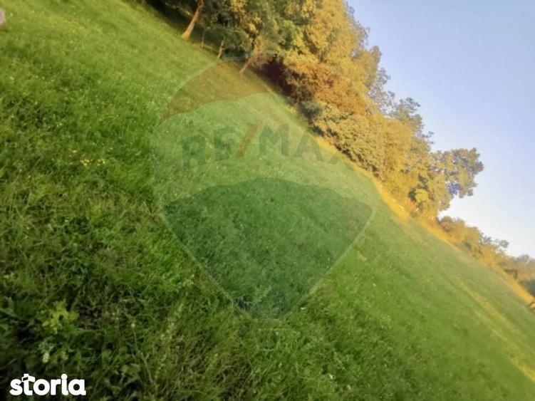 Teren extravilan Breb 6,900mp - 6