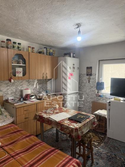 Casă individuală  în Recaș ,teren 1050 mp cu front pe două străzi . - 13