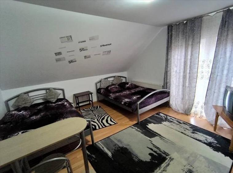 Pensiune in Sasca Montana - 5