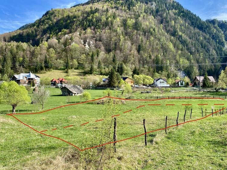 Teren panoramic insorit, utilitati, panta mica si padure, turism sau vacanta - 15