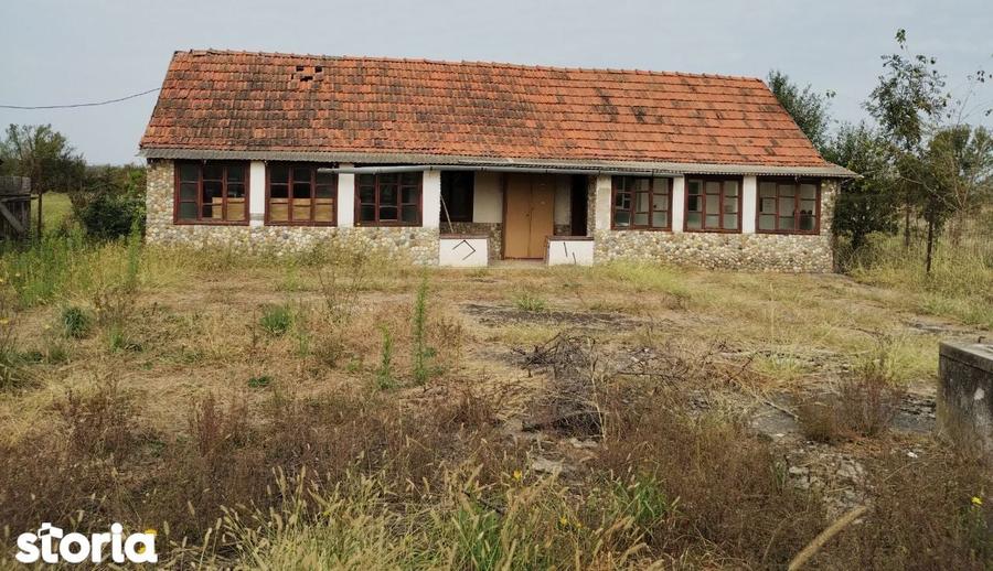 Casa veche din 1955 si teren intravilan 6153 mp, Sinersig,Jud Timis - 2
