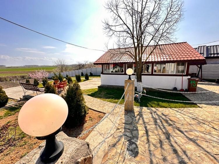 Domeniul de langa Fetesti, Maltezi, ideal pentru evenimente - 20