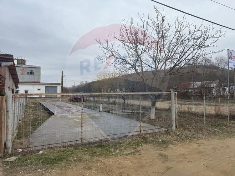 Moara Spatiu Industrial - 10