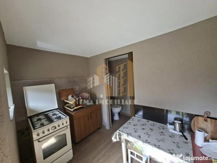 Casa individuala Ileni Fagaras Brasov - 6