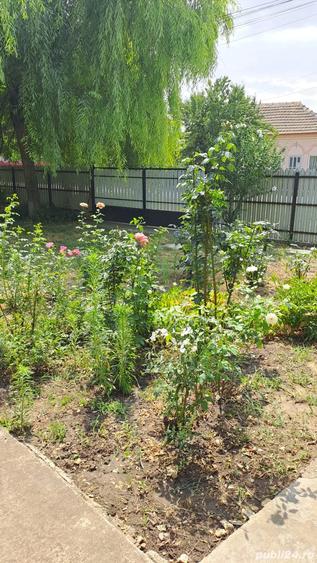 Casa 6camere ,plus teren 1800mp - 3