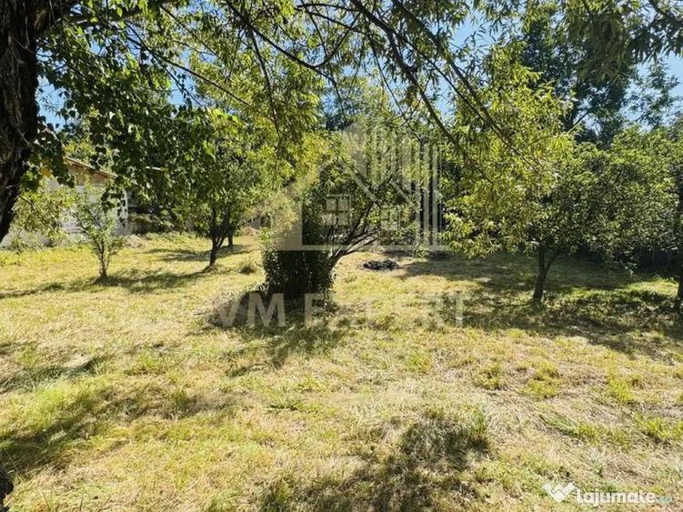 TEREN INTRAVILAN 3234 MP LERE?TI VOINE?TI ARGE? - 9