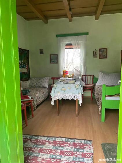 Casa de vanzare Cociuba Mare - 6