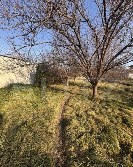 Casa individuala, 7 camere, 217 mp, 624 mp teren, zona Frate - 2