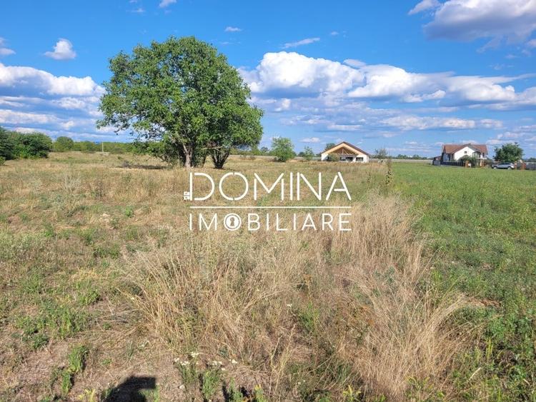 Vanzare teren intravilan cu PUZ, situat in Targu-Jiu, localitatea Slobozia - 8