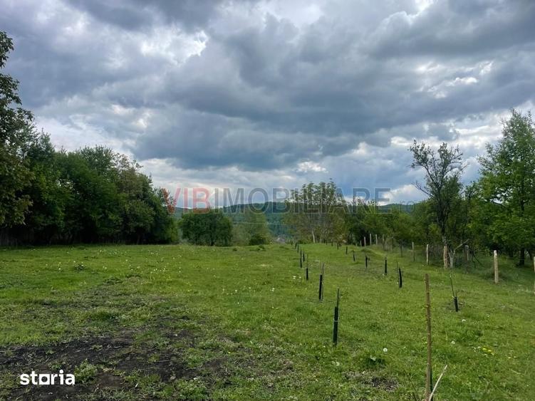 Teren de 7280 mp, în Mihăești
