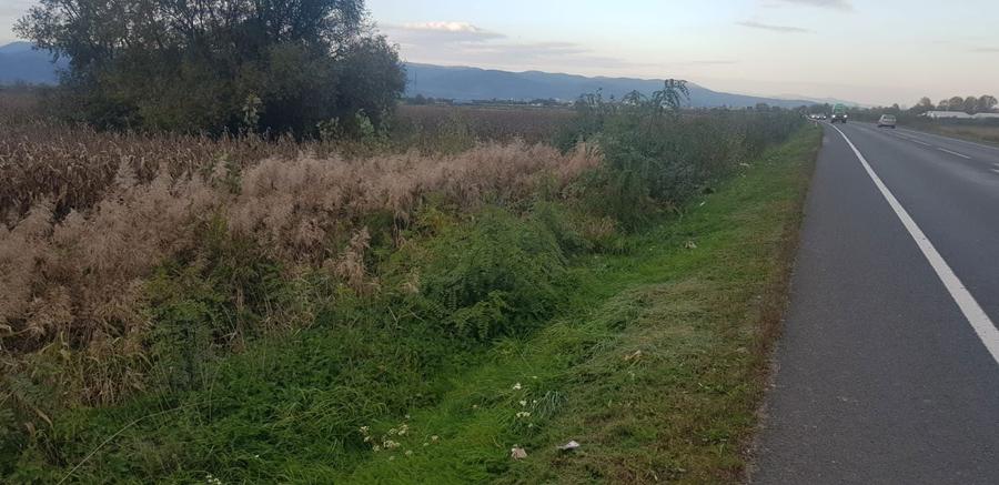 Vand urgent Teren DN Simeria -Hateg(Spate la Petrom) !!! - 6