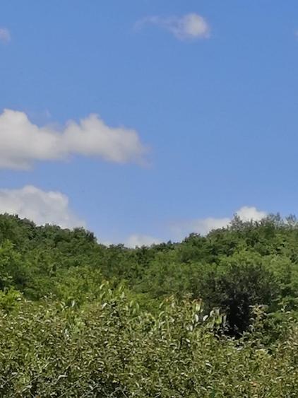 Vanzare Casa cu acces direct la padure in Valea Cucului, Comuna Iordacheanu - 13