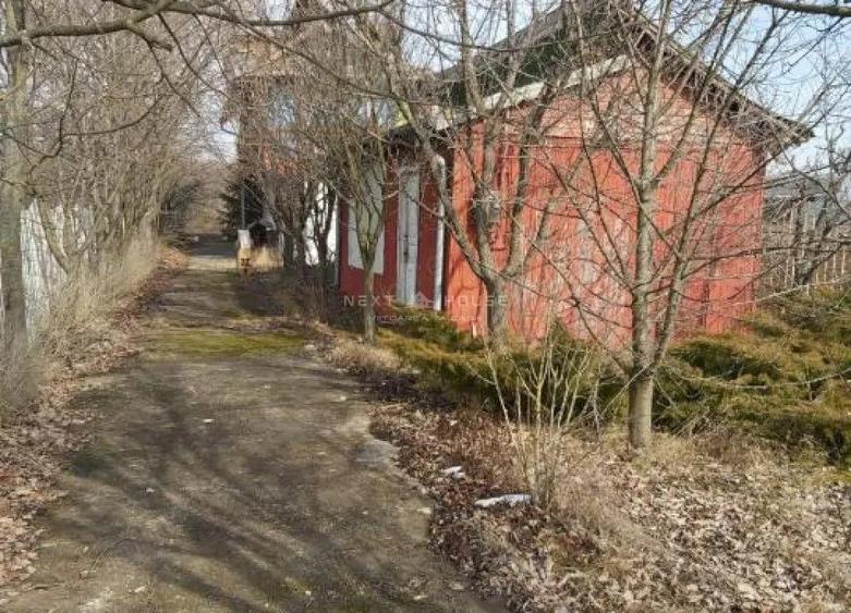 Teren la 35 km de Bucuresti - Izvorani - Ciolpani - 14