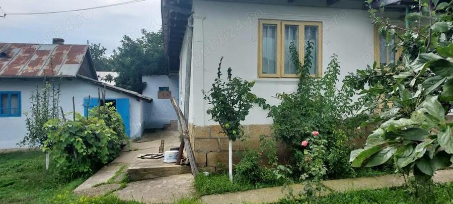 Vand casa + anexe si gradina - 3