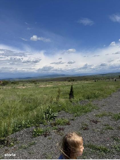 Teren intravilan - 9