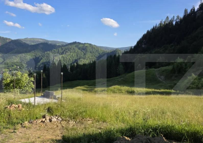 ???? Teren intravilan, de vanzare, 5 hectare, zona Colibita - 3