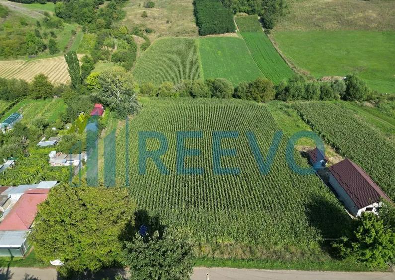 Teren intravilan de vanzare, Sat Bogdan?ti, Com. Traian - 9