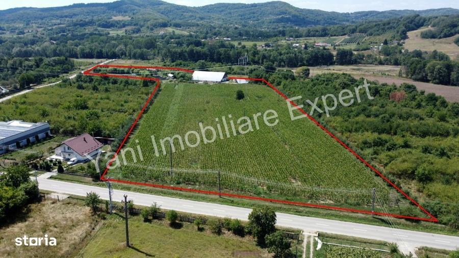 Teren de vanzare, Comuna Cepari, Judet Arges ( 40.672 mp ) - 8