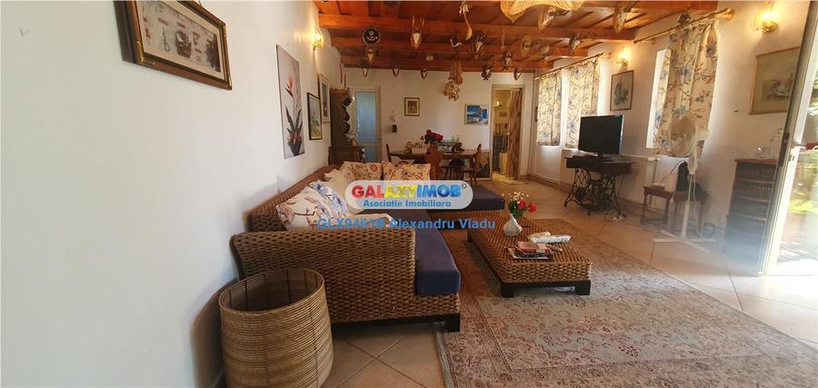 Casă cu 5 camere cu Teren 2400 Mp în Sărulești