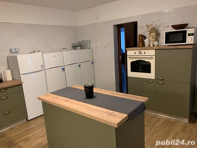 Spațiu comercial, de 450 mp, în Sasca Montană